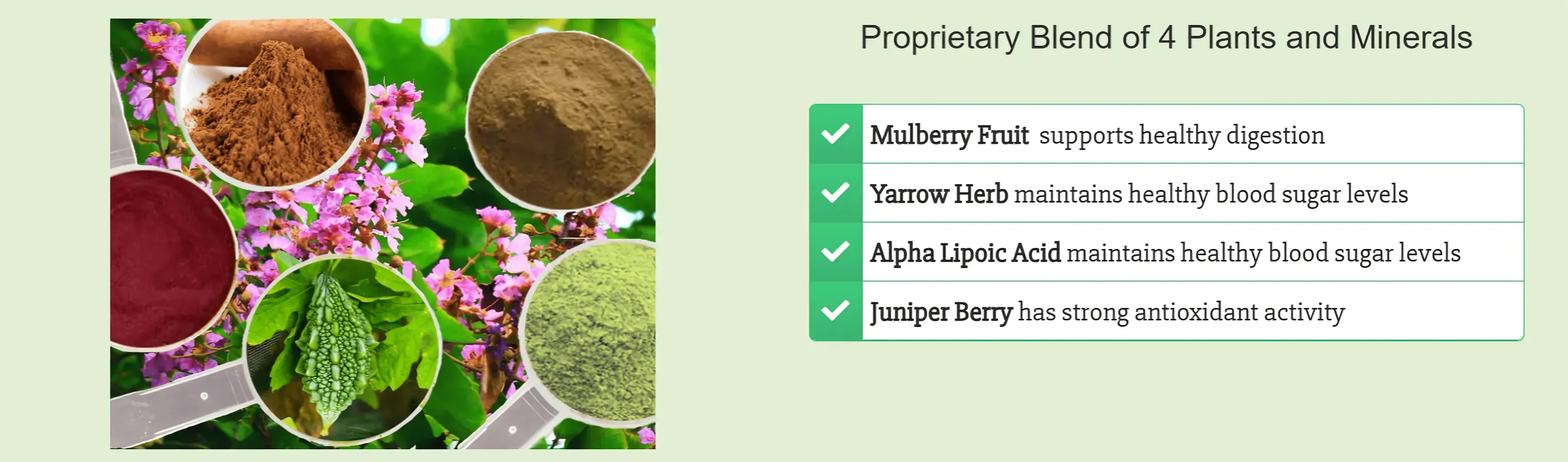 Gluco Extend ingridients